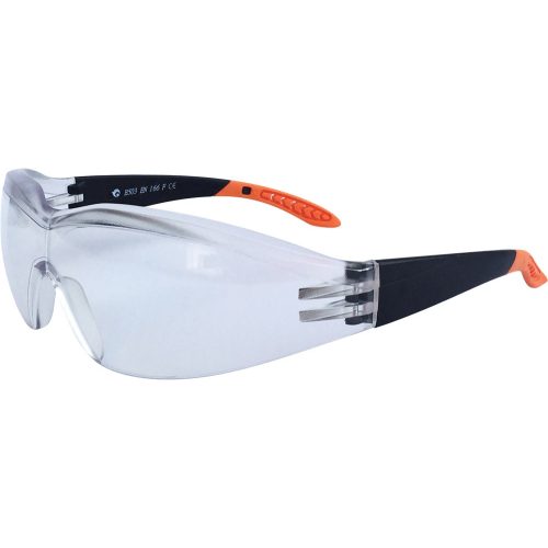 1005 Safety glasses