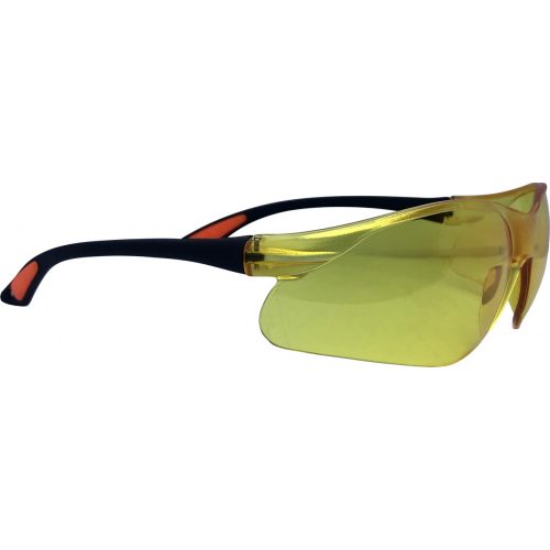1013 Safety Glasses
