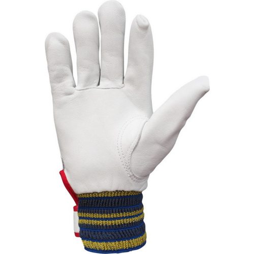 2191 Glove