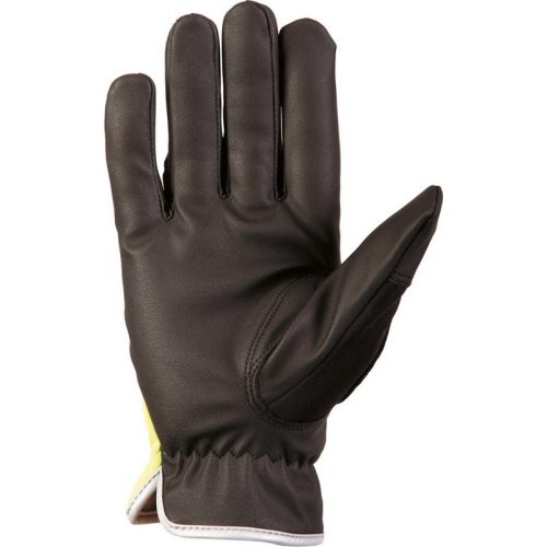2194  Glove