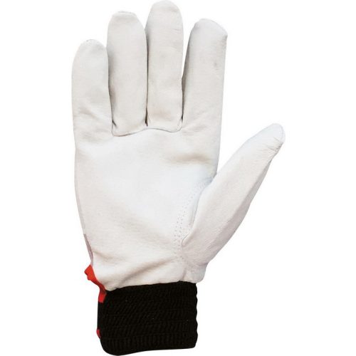 2196  Glove