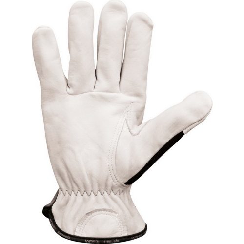 2197  Glove
