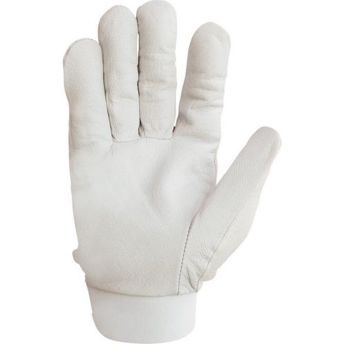 2201  Glove