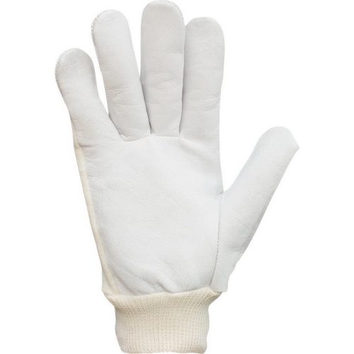 2201 ECO  Glove