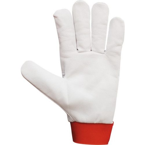 2203  Glove