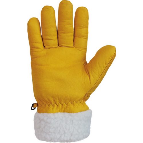 2215  Glove