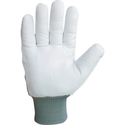 22213  Glove