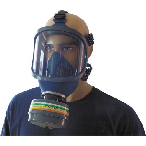 8821 Panorama mask