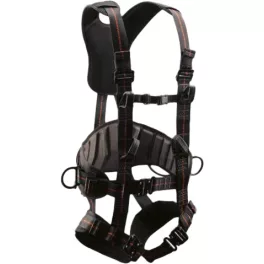 Z4 Body harness